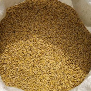 Oats