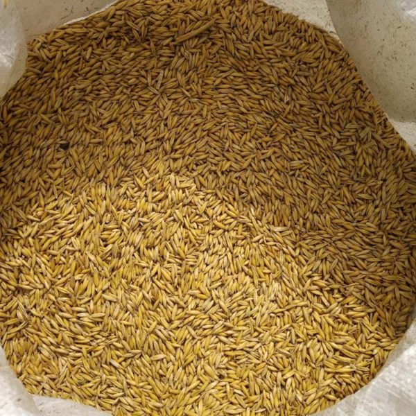 Oats