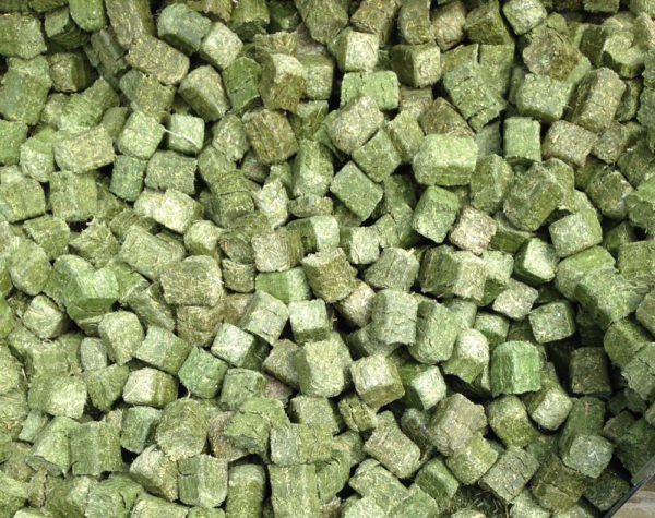 Dehydrated Alfalfa Cubes - Image 2