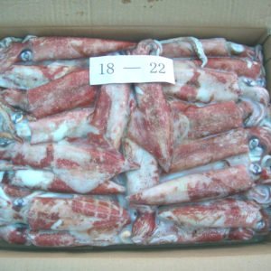 Frozen Squid