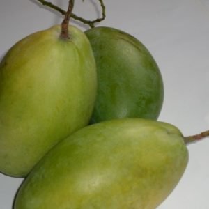 Fresh Mango