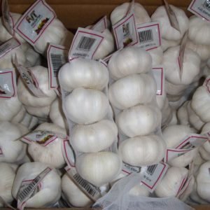 White & Red Garlic