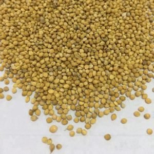 Millet