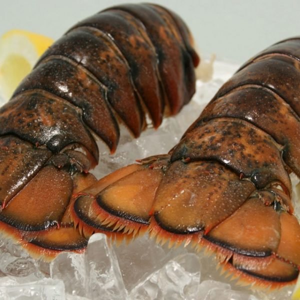 Lobster - Image 2