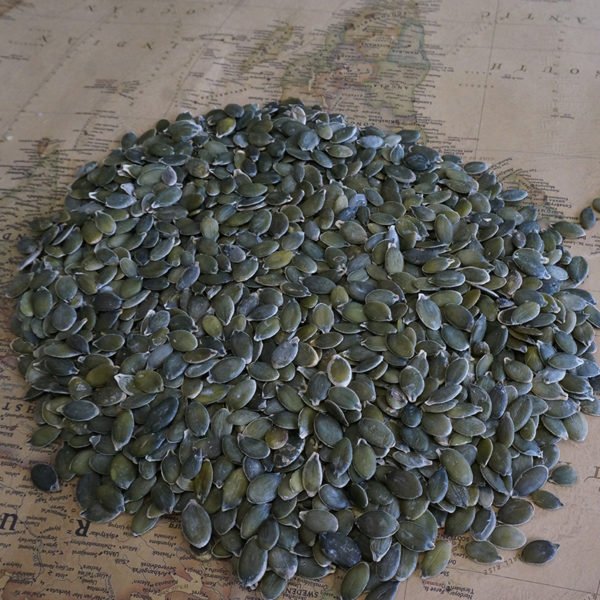Pumpkin Seeds