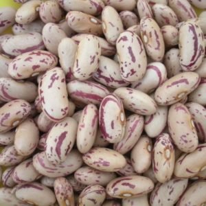 Sugar Beans