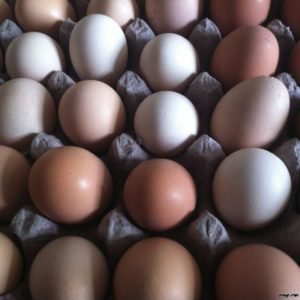 Fresh Table Eggs