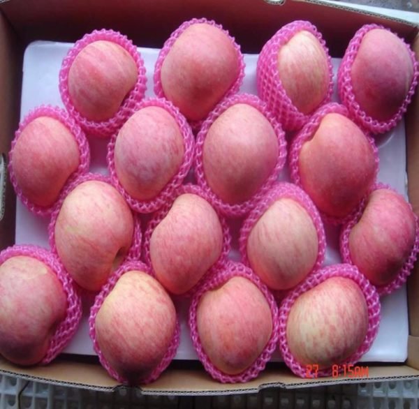 Fresh Apple